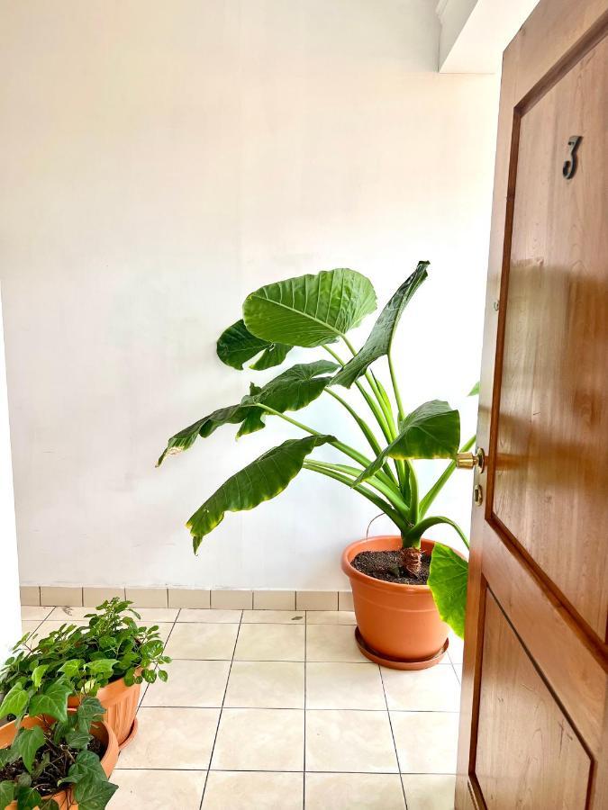 Urbano Hotell Tarija Exteriör bild